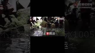 BJYX/陈情令花絮/The Untamed：王到底用了多少替身？How many stuntmen did Wang use?