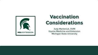 Horse Vaccination Considerations