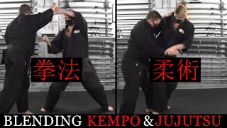 BLENDING KEMPO & JUJUTSU TECHNIQUES FOR SELF DEFENSE  🥋 Advanced Martial Arts Training