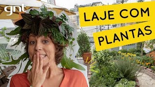 Laje de casa com diversidade de plantas | Jardinagem | Carol Costa