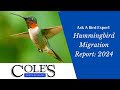 Hummingbird Migration Report: 2024