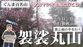 【ぐんま百名山】アカヤシオを見に行こう！霧と雨の中を行く「袈裟丸山」