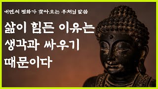 삶이 힘든 이유 | 잠 잘 때 들으면 내면의 평화가 찾아오는 부처님 말씀 | 석가모니 명언 | 삶이 힘들 때 | #명언 #지혜 #오디오북 #석가모니말씀