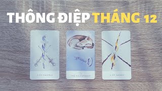 Tổng quan tháng 12🥱😴 | Chọn tụ bài Tarot