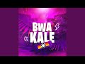 Bwa Kale (feat. T-Babas)