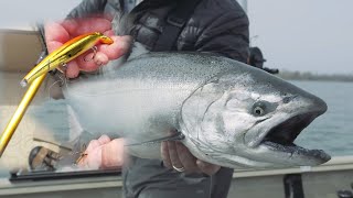 Early Spring Kings + Browns in 15 Feet of Water