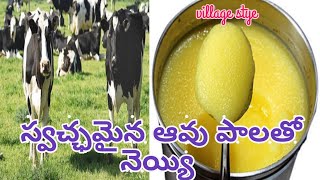 స్వచ్ఛమైన ఆవు పాలతో నెయ్యి పలెటూరు పద్ధతిలో// how to make pure cow ghee in village style in Telugu