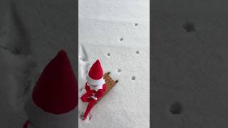 ELF ON THE SHELF CAUGHT SLED RIDING?! 🛷✨❄️ #shorts