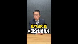 中国企业遮羞布---世界500强