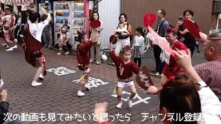 阿波踊り　炎士連　2019清瀬 秋のふれあいまつり