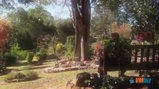 Affordable Family Funerals (Produced by VMbiz)