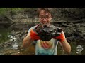 new discovery finding and cutting incredible alligator agates from a florida swamp on a rock saw