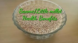 15 Amazing Health Benefits of Little  Millet /Saame