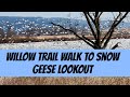 Walk to Snow Geese Migration Lookout! Middle Creek Wildlife Management Area! Willow Point Trail!