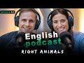 Learn ENGLISH FAST with This Daily Podcast!