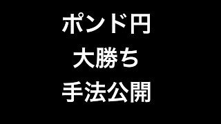 【FX】GBPJPY（ポンド円）で初心者でも大勝ち！？できる方法を公開