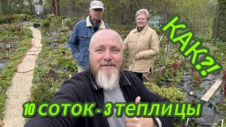 3 теплицы на 10 сотках