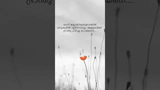 ചില സമയങ്ങളിൽ മറവി ഒരു മരുന്നാണ് മനുഷ്യന്❣️🌿 #shorts #status