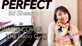 【ピアノ・ガイズ】PERFECT/Ed Sheeran-The Piano Guys Cover/