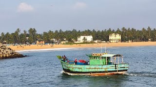 അപ്രതീക്ഷിതമായി കിട്ടിയ ചെമ്പല്ലി