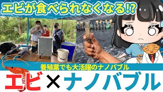 【ゆっくり解説】ナノバブルが世界中の「エビ」を救う!?｜養殖業で大注目のナノバブル