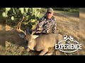 Mexico Whitetail Deer Hunting Experience!