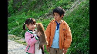 映画『マリと子犬の物語』予告　出演：船越英一郎／松本明子