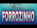 set forrozinho 2024 vol 03