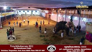 Vrischikolsavam Day 1 21-11-2022 Live Telecast