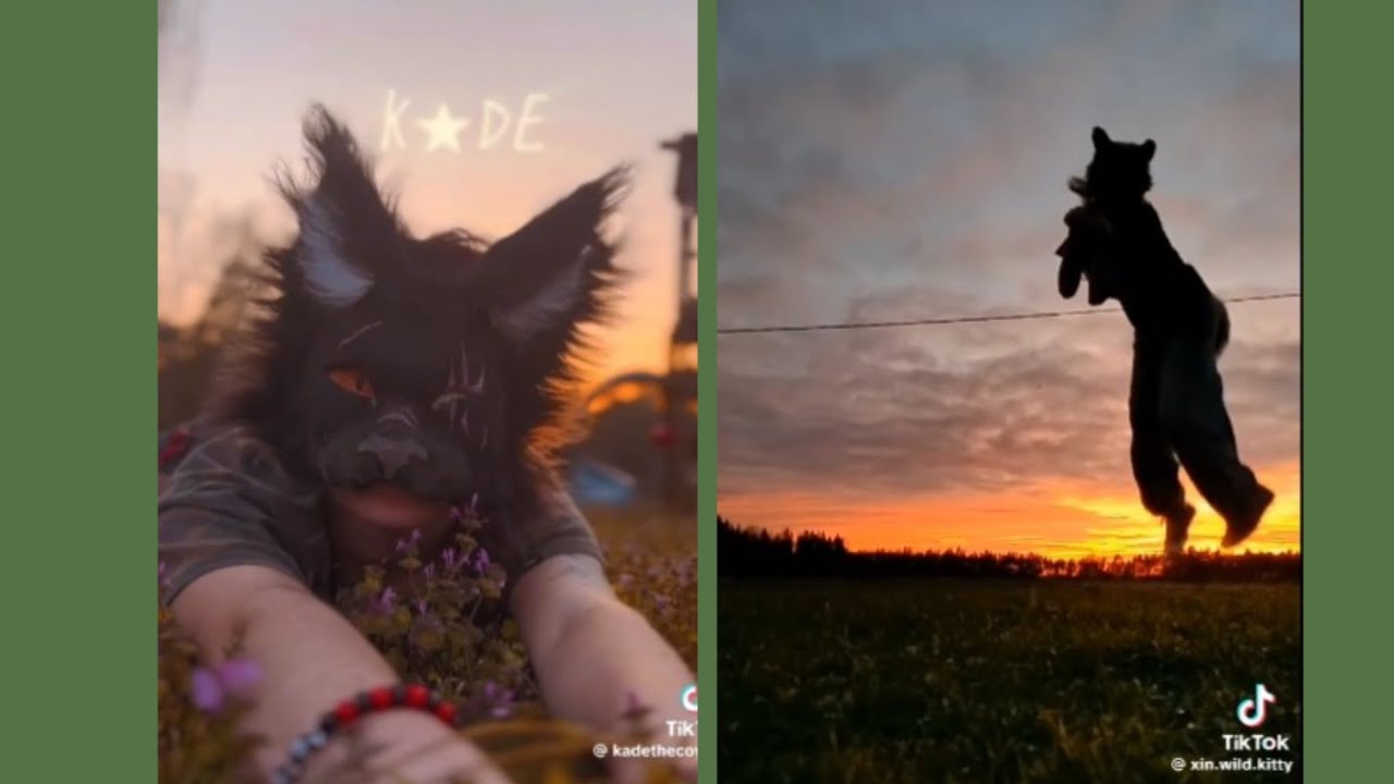 Therian Tiktok Compilation Part 3 Youtube