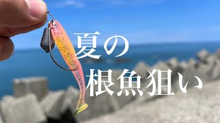 【ハタゲーム】真夏の根魚「キジハタ」を初めて狙ってみた！！