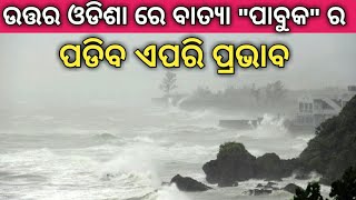 ଉତ୍ତର ଓଡିଶା ରେ ବାତ୍ଯା ପାବୁକ ର ପଡିବ ଏପରି ପ୍ରଭାବ | Odia tech mind