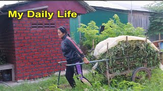 Simply Living in Cambodia Rural || Real Life of Cambodia Farmer [ khmer rural post ]