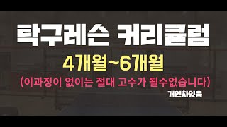 [분당정효영탁구클럽] 탁구레슨 커리큘럼 2화 (4개월~6개월차)  [table tennis curriculum #2]