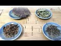 【eye tv二十四節氣系列】節氣茶飲 秋分 潤喉紫舒飲