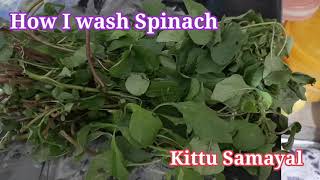 How I wash Spinach/Keerai/கீரை சுத்தம் செய்வது எப்படி/ഞാൻ ചീര കഴുകുന്നതെങ്ങനെ #kittusamayal