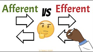 Afferent vs Efferent  (Neurons, Kidneys, Lymph nodes)