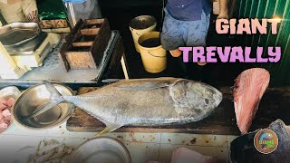 Like Cutting Butter | Satisfying Fish Cutting Skills