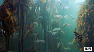 Top 10 worst environmental issues this 2021