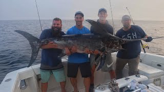 EPIC SWORDFISH Overnighter! [New Species]