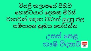 වියළි කලාපයේ පිහිටි හෙක්ටයාර දෙකක මිරිස් වගාවක් සඳහා වඩාත් සුදුසු ජල....(@ALAgriculturalScience)