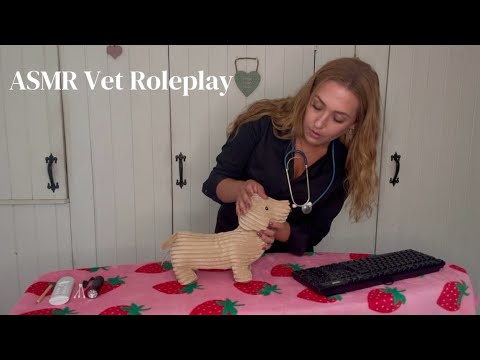 Asmr Vet Checkup Roleplay Youtube
