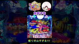 【大海５SP】魚群100%設定からの魚群は脳汁🤤ビッグバイブ予告\u0026炎目の盛り沢山🔥　＃海物語 パチンコ　＃大海物語　＃大海5　＃大海物語5　#大海5スペシャル　＃p大海物語５　＃大海5スペシャル