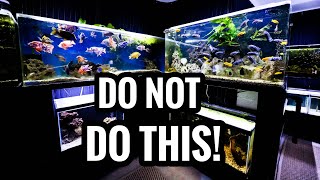 Watch BEFORE Buying African Cichlids - Beginners Guide
