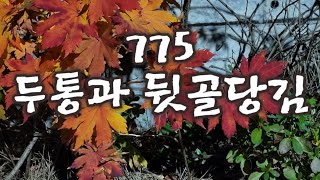 [새벽5시세포명상] 775 머리가 아프고 뒷목이 묵직하다면 한 번 따라해보세요♡