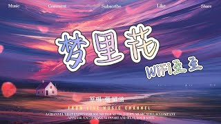 梦里花·2022 (温柔男声版）（原唱 : 張韶涵） -  WiFi歪歪『盛開在琥珀色月牙，就算失去所有愛的力量』♫動態歌詞lyrics ♫