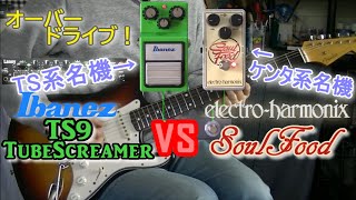 【比較レビュー】  Ibanez TS9 vs electro-harmonix SoulFood 「この2機種の違いとは？」