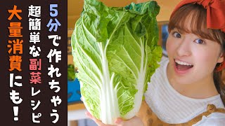 【白菜レシピに困ったら】超簡単な副菜レシピ3品！大量消費していきます！