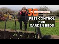 EASY Garden Pest Control | Netting Tunnel | Half hour gardening project