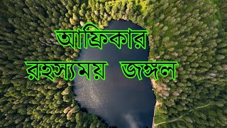 আফ্রিকার জঙ্গল রহস্য || africa jungle || আফ্রিকার জঙ্গলের জীবজন্তু || African Forest Safari